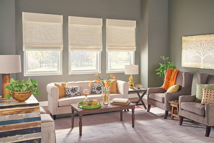 Standard Roman Natural Shades with AutoView Motorized Lift: Resonance, Sugarcane 00116 with Privacy Liner: Snow White 2909, 2" Edge Banding: Vanilla 1171, and 9" Standard Valance