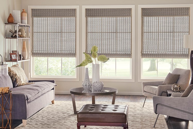 Standard Roman Natural Shades with AutoView Motorized Lift: Trinidad, Owl 00846 with 1" Edge Banding: Taupe 7008 and 9" Standard Valance with Valance-Only Privacy Liner: Taupe 2659