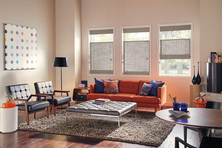 Standard Roman Natural Shades with Bottom Up/Top Down Cord Lift: Mindoro, Dawn 05040 and 6" Standard Valance with Valance-Only Privacy Liner: Taupe 2659